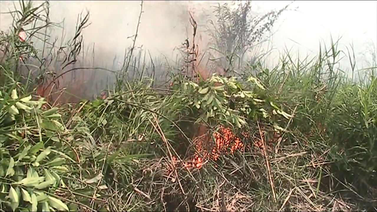 thumbnail_movie_12[00_00_03][20250322-225131]